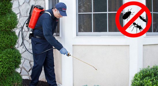 Eldivan Hamam Böceği İlaçlama böcek ilaçlama ve haşere kontrolü — ilaclama-tr.com